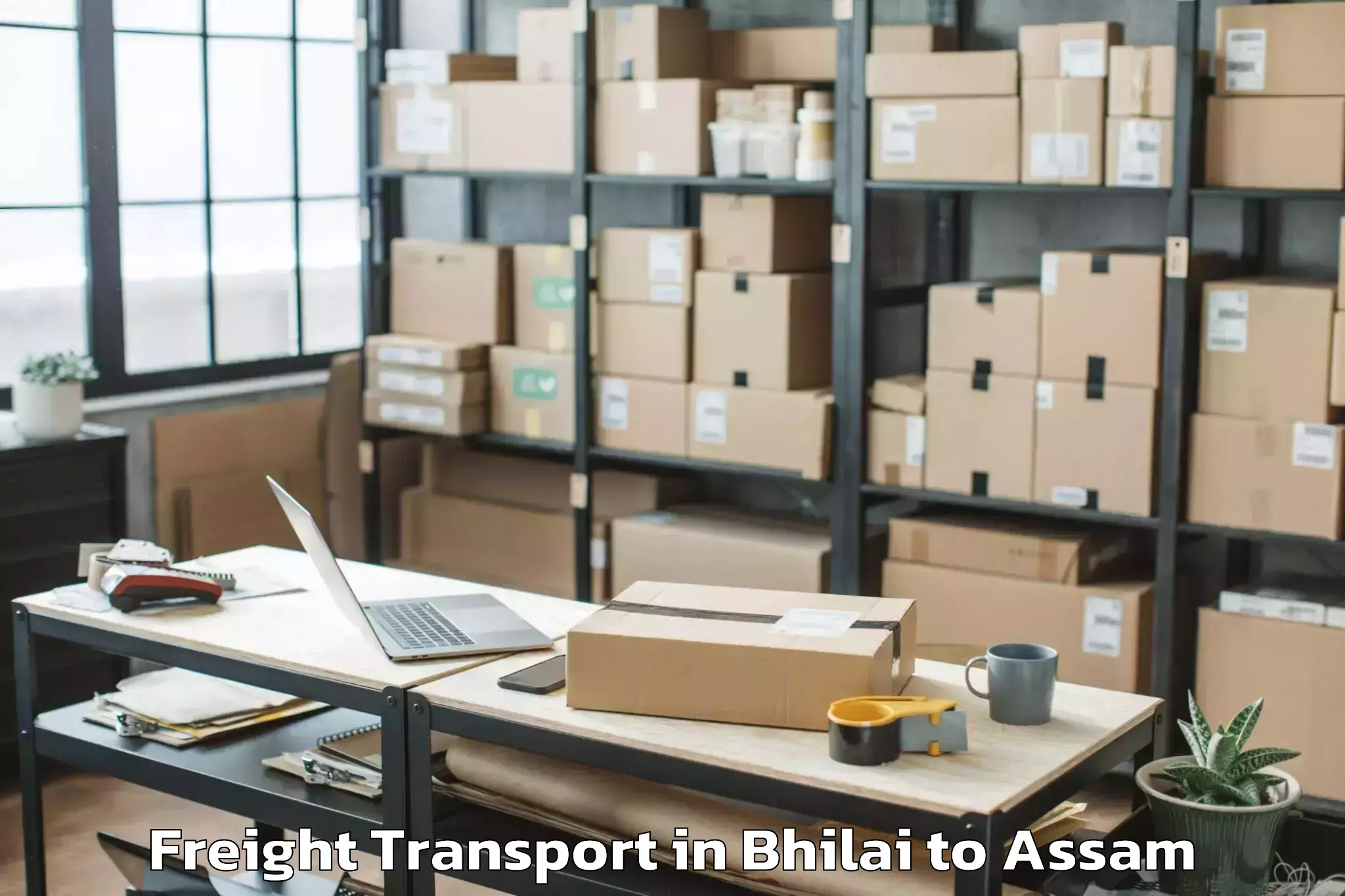 Bhilai to Pathorighat Pt Freight Transport Booking